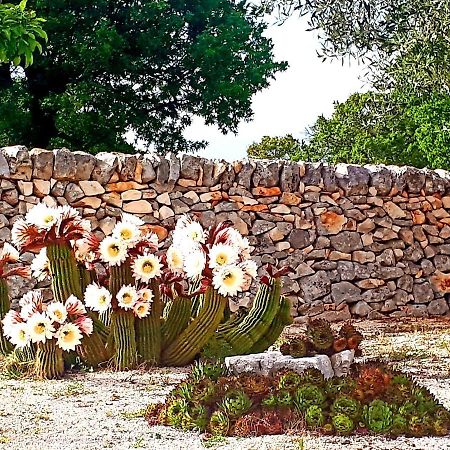 Casa Relax Isabelle Bed and Breakfast Alberobello Buitenkant foto