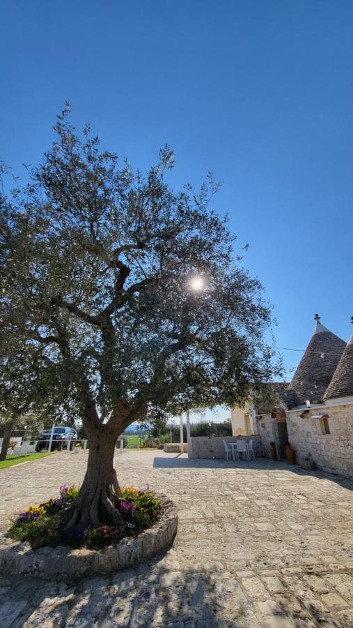 Casa Relax Isabelle Bed and Breakfast Alberobello Buitenkant foto