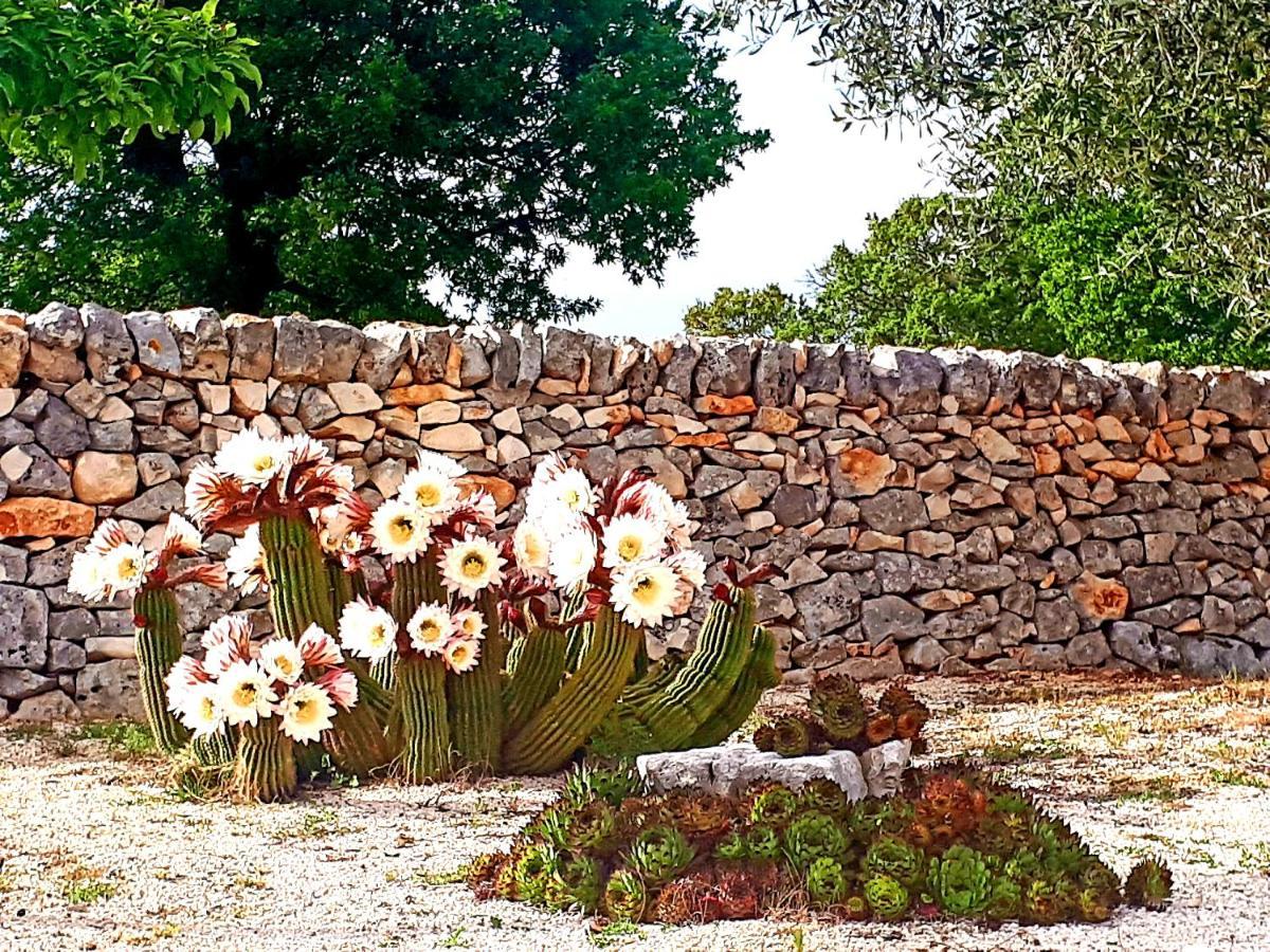 Casa Relax Isabelle Bed and Breakfast Alberobello Buitenkant foto